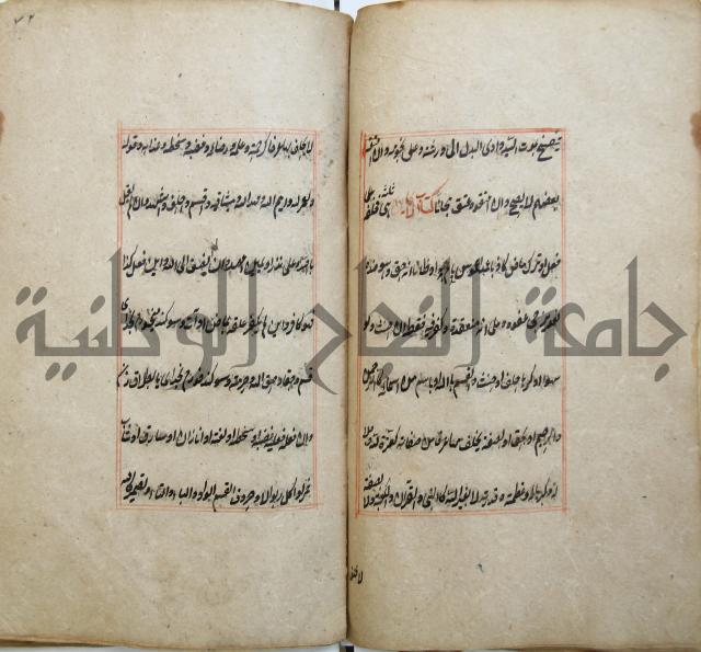 الوقاية الرداتية في مسايل الهداية 