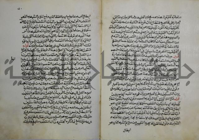 حواشي على عصام الاستعارات