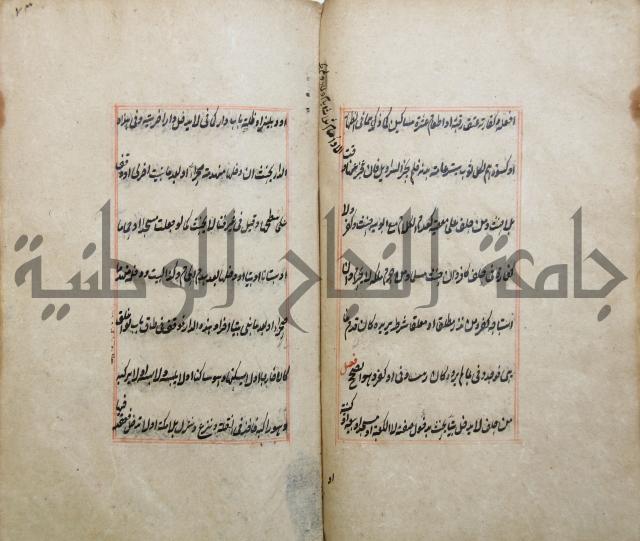 الوقاية الرداتية في مسايل الهداية 