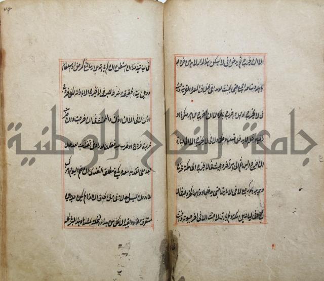 الوقاية الرداتية في مسايل الهداية 