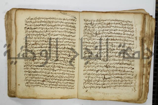 كتاب فتاوى شيخ الإسلام والمسلمين العالم العامل الشيخ محمد الخليلي الشافعي