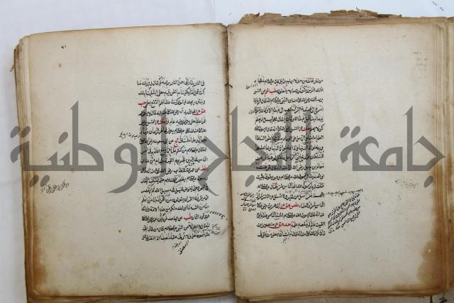 الطريقة المحمدية