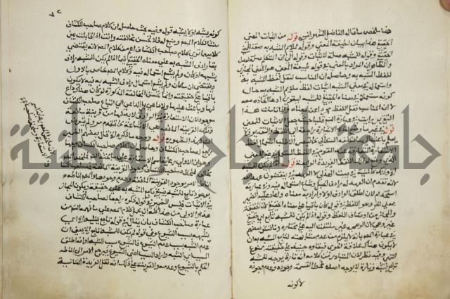 حواشي على عصام الاستعارات