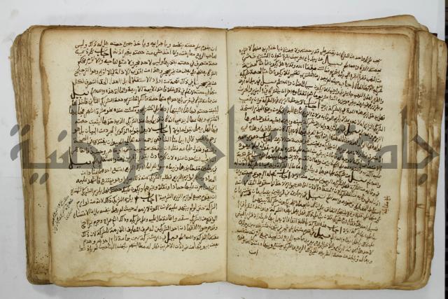 كتاب فتاوى شيخ الإسلام والمسلمين العالم العامل الشيخ محمد الخليلي الشافعي