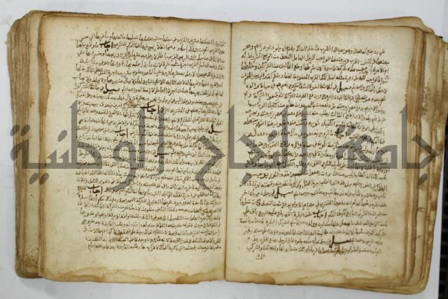 كتاب فتاوى شيخ الإسلام والمسلمين العالم العامل الشيخ محمد الخليلي الشافعي