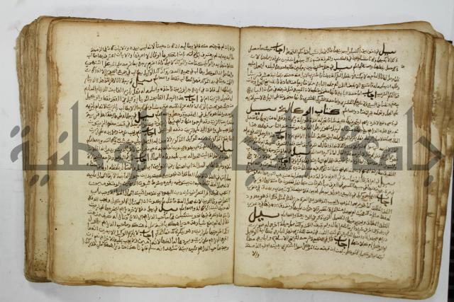 كتاب فتاوى شيخ الإسلام والمسلمين العالم العامل الشيخ محمد الخليلي الشافعي