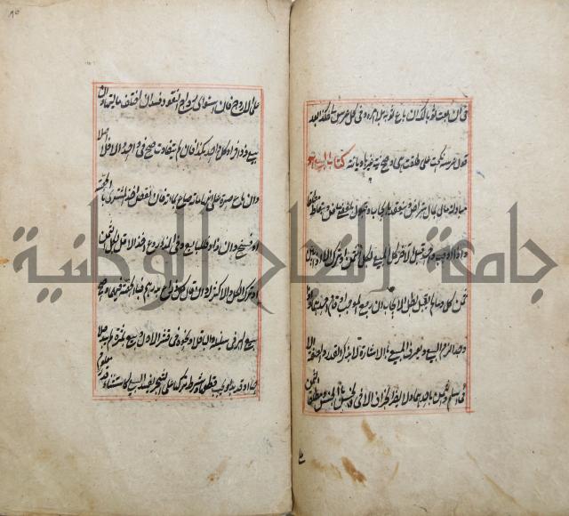 الوقاية الرداتية في مسايل الهداية 