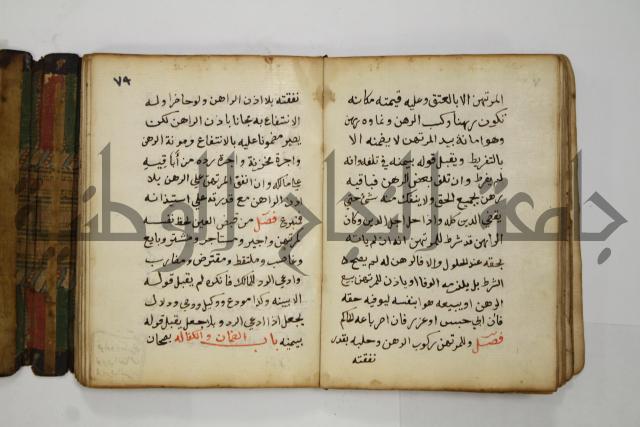 دليل الطالب لنيل المطالب في الفقه على مذهب الامام الاول