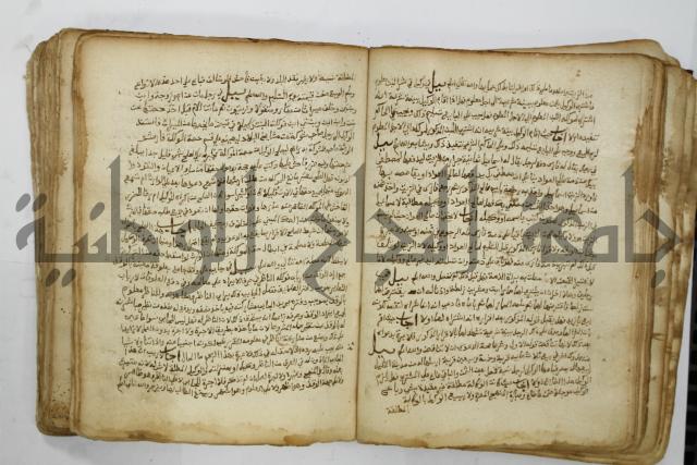 كتاب فتاوى شيخ الإسلام والمسلمين العالم العامل الشيخ محمد الخليلي الشافعي