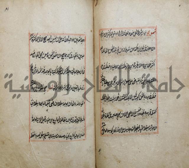 الوقاية الرداتية في مسايل الهداية 