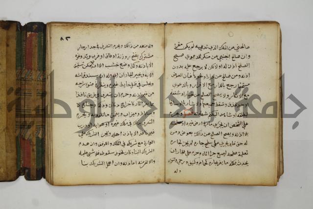 دليل الطالب لنيل المطالب في الفقه على مذهب الامام الاول