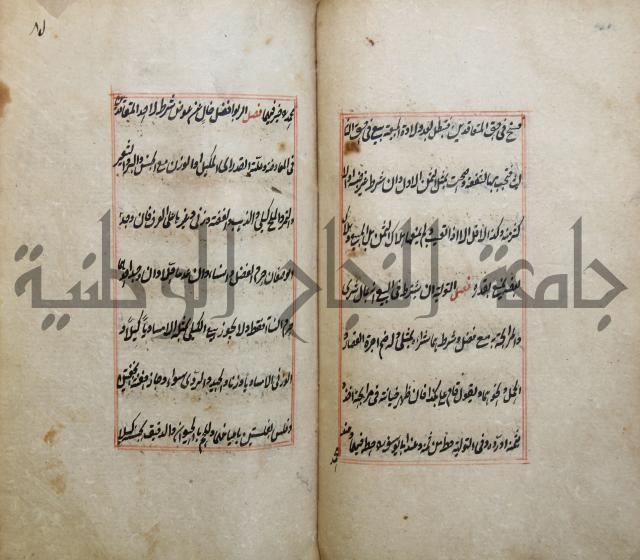 الوقاية الرداتية في مسايل الهداية 