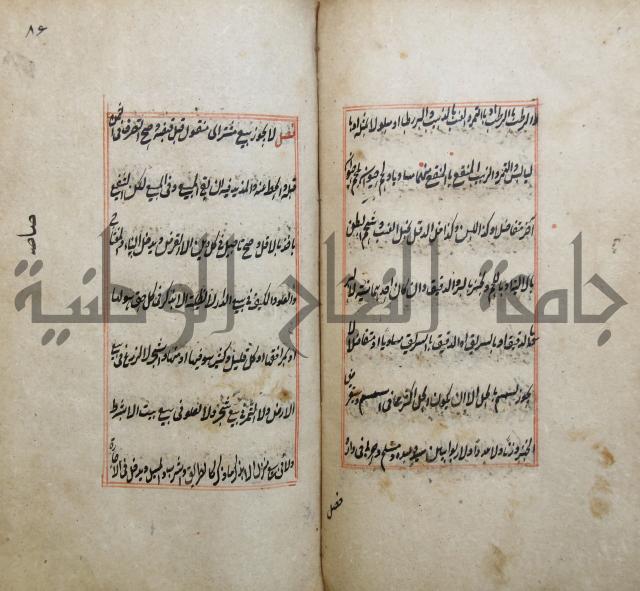 الوقاية الرداتية في مسايل الهداية 