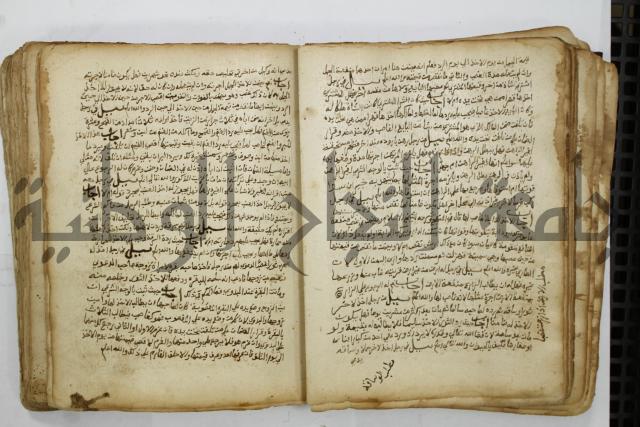 كتاب فتاوى شيخ الإسلام والمسلمين العالم العامل الشيخ محمد الخليلي الشافعي