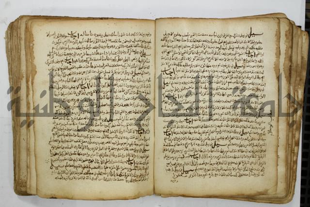 كتاب فتاوى شيخ الإسلام والمسلمين العالم العامل الشيخ محمد الخليلي الشافعي