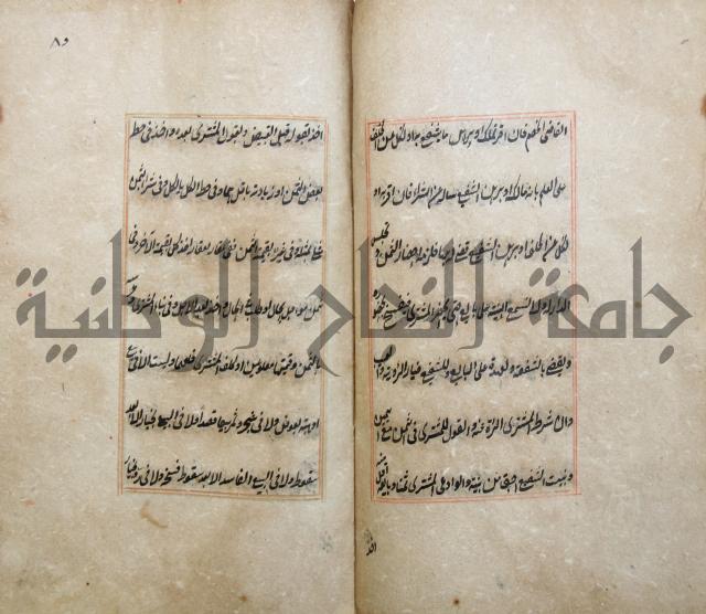 الوقاية الرداتية في مسايل الهداية 