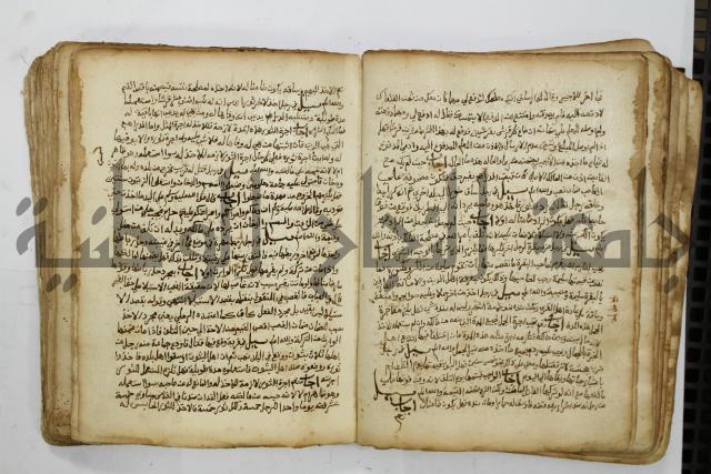 كتاب فتاوى شيخ الإسلام والمسلمين العالم العامل الشيخ محمد الخليلي الشافعي