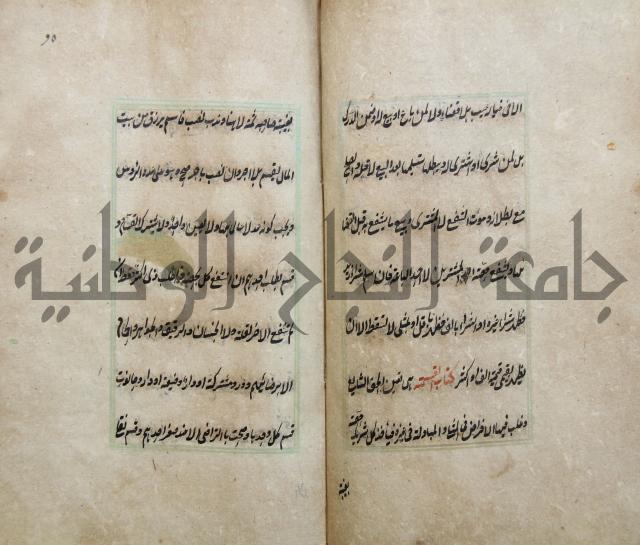 الوقاية الرداتية في مسايل الهداية 