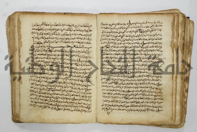 كتاب فتاوى شيخ الإسلام والمسلمين العالم العامل الشيخ محمد الخليلي الشافعي