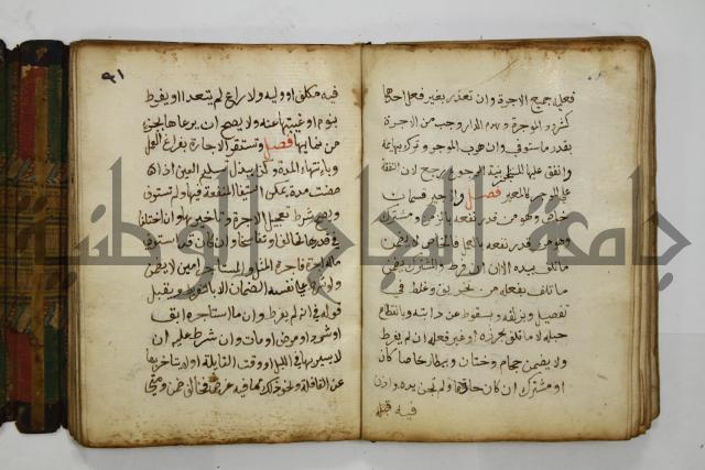 دليل الطالب لنيل المطالب في الفقه على مذهب الامام الاول