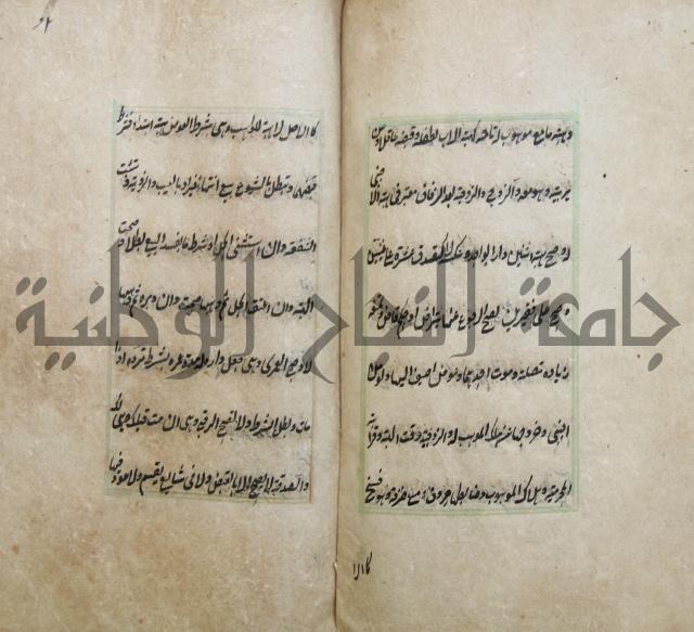 الوقاية الرداتية في مسايل الهداية 