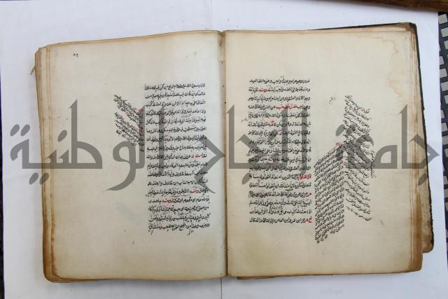 الطريقة المحمدية