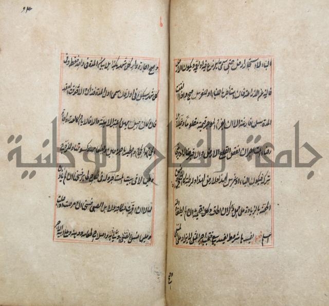 الوقاية الرداتية في مسايل الهداية 