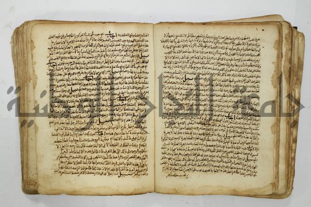 كتاب فتاوى شيخ الإسلام والمسلمين العالم العامل الشيخ محمد الخليلي الشافعي