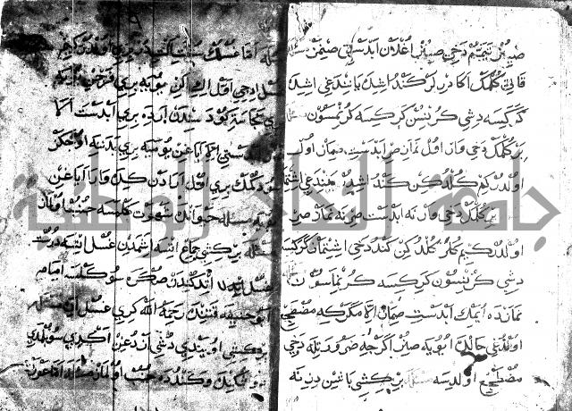 عبارات بالتركية