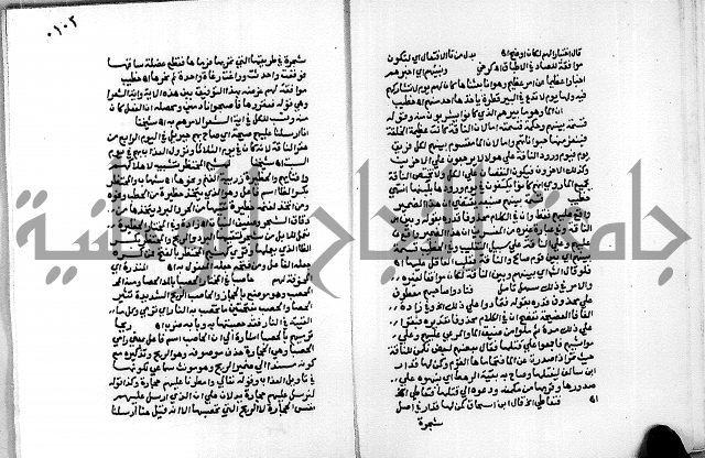 حاشية الجمل على تفسير الجلالين 