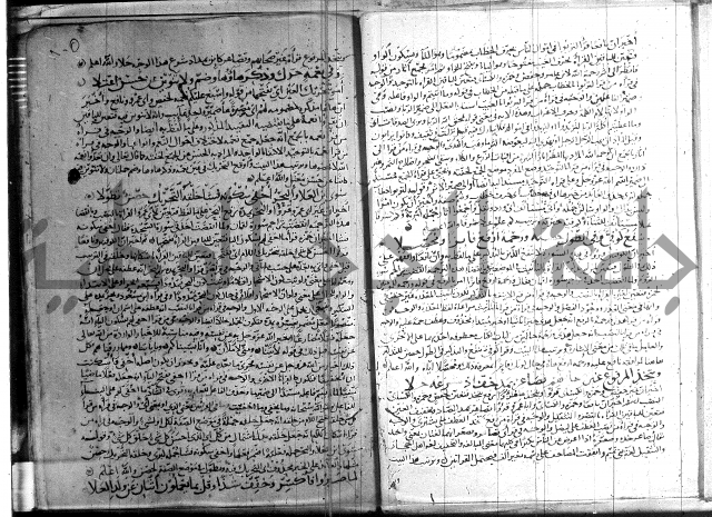 شرح الشاطبية