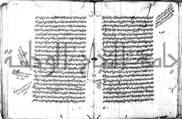 حاشية في المعاني والبيان 