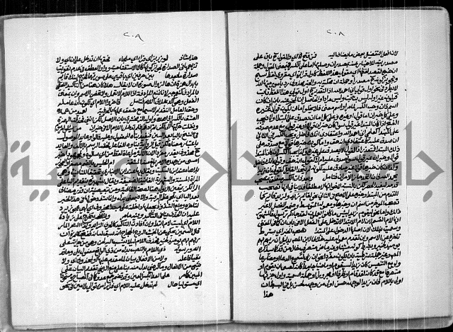 حاشية للعلامة الشيخ محمد الخضري الدين وعلومة