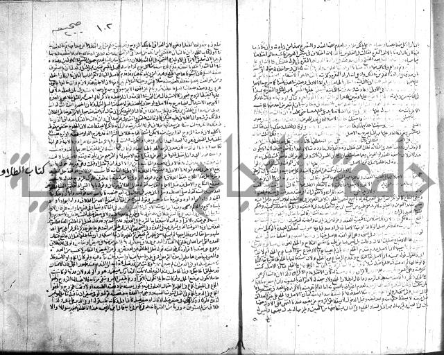 شرح الروض ج2