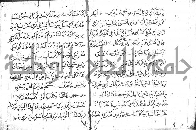 عبارات بالتركية