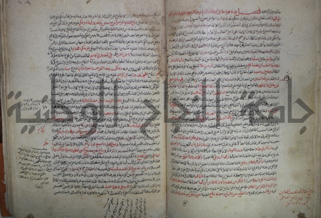 نهاية المحتاج الى شرح  المنهاج الجزء الثاني 