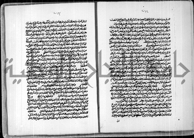 حاشية للعلامة الشيخ محمد الخضري الدين وعلومة