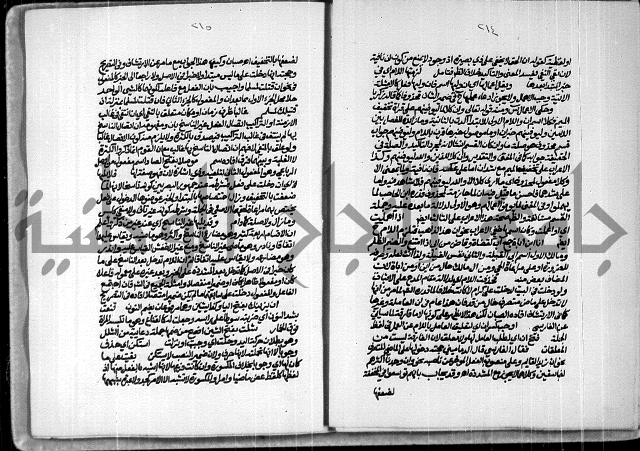 حاشية للعلامة الشيخ محمد الخضري الدين وعلومة