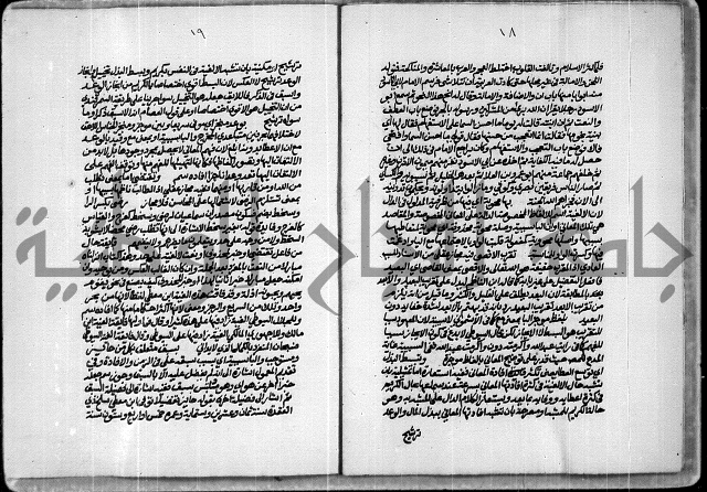 حاشية للعلامة الشيخ محمد الخضري الدين وعلومة