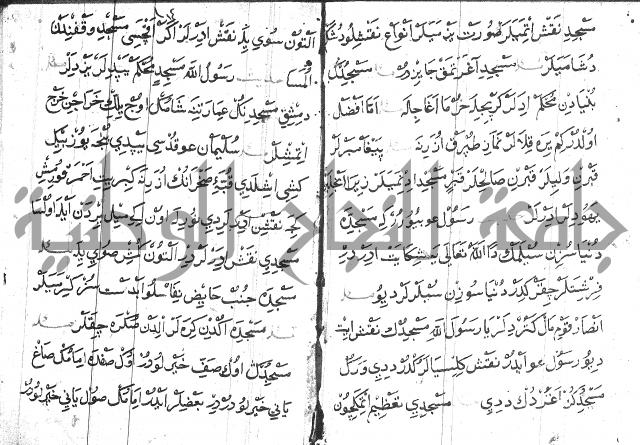 عبارات بالتركية