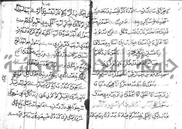 عبارات بالتركية