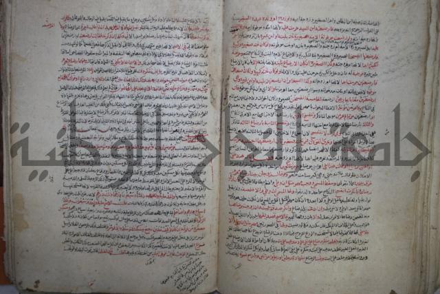 نهاية المحتاج الى شرح  المنهاج الجزء الثاني 