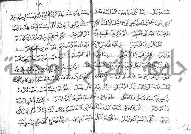 عبارات بالتركية