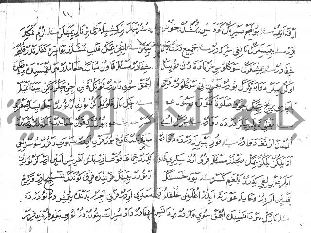 عبارات بالتركية