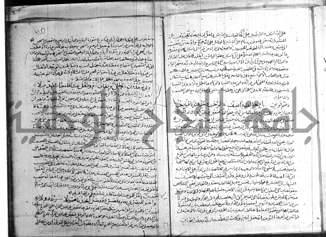 شرح الشاطبية