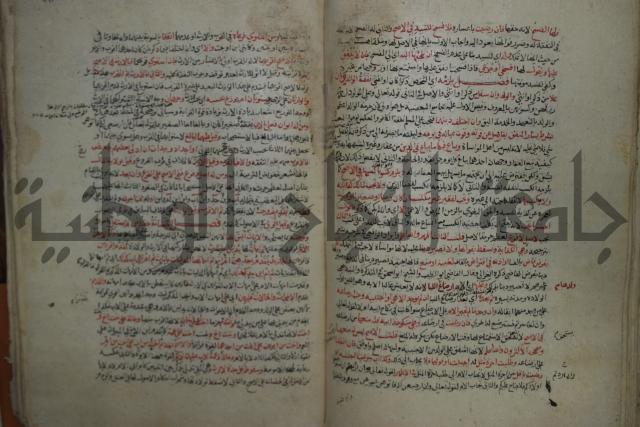 نهاية المحتاج الى شرح  المنهاج الجزء الثاني 