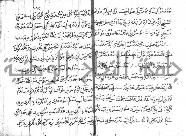 عبارات بالتركية