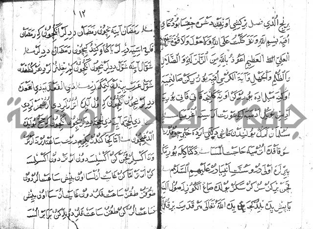 عبارات بالتركية