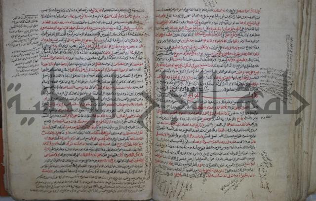 نهاية المحتاج الى شرح  المنهاج الجزء الثاني 