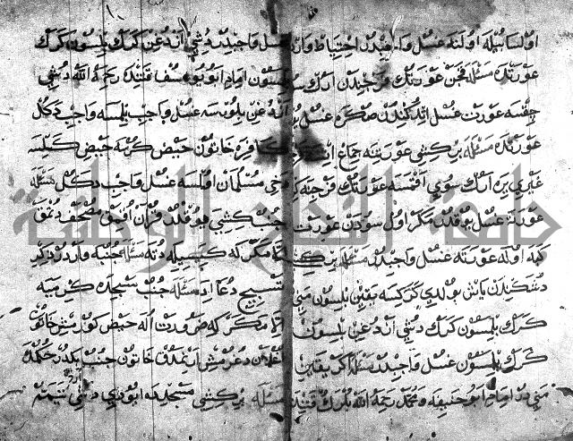 عبارات بالتركية